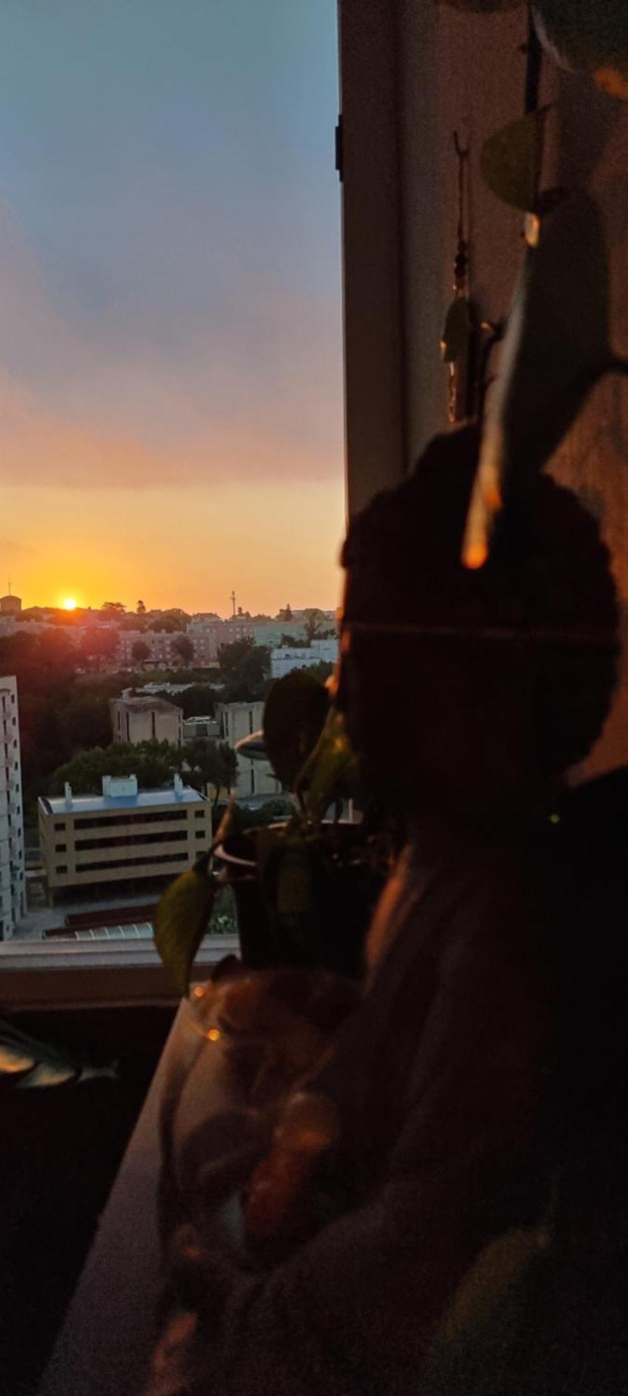 Casa Do Mocho Private Room In Lisbon ปาโซ ดิ อาร์โคส ภายนอก รูปภาพ